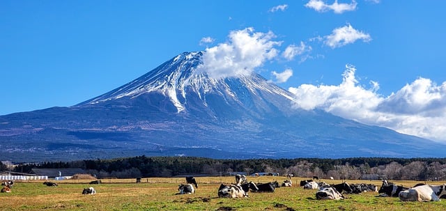 富士山