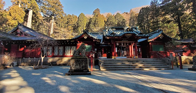 箱根神社のイメージ画像