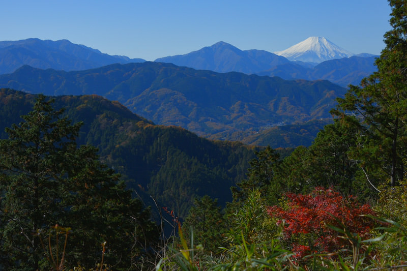 高尾山のイメージ画像