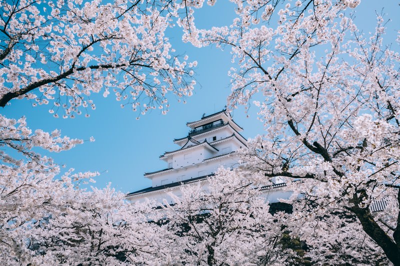 鶴ヶ城(福島県会津市)のイメージ画像